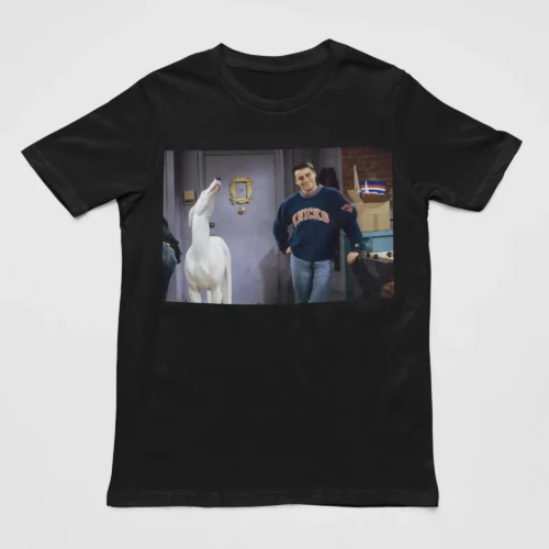 Tv Friends T-Shirt #11 Pat the Dog and Joey
