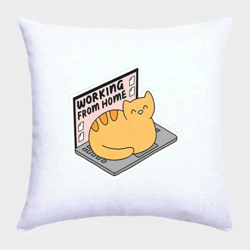 Cat Pillow #w29