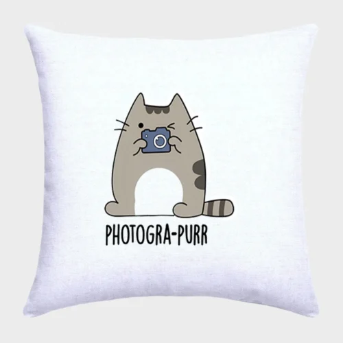 Cat Pillow #w19