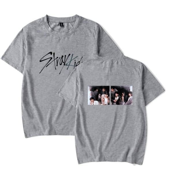 Gray graphic t-shirt with "Stray Kids" logo and band photo print, casual unisex style, high-quality cotton fabric, affordable price, perfect for K-pop fans and everyday wear.