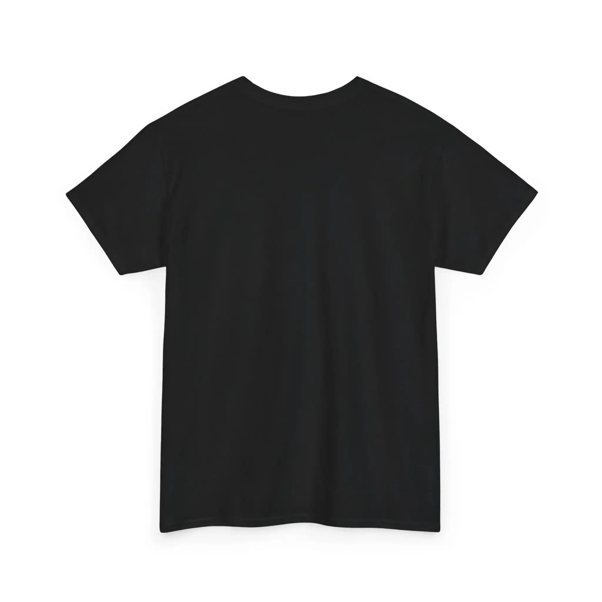 Plain black T-shirt, affordable high-quality merch item, suitable for casual wear and promotional purposes. Ideal for customizing with your own designs or logos at a low cost.