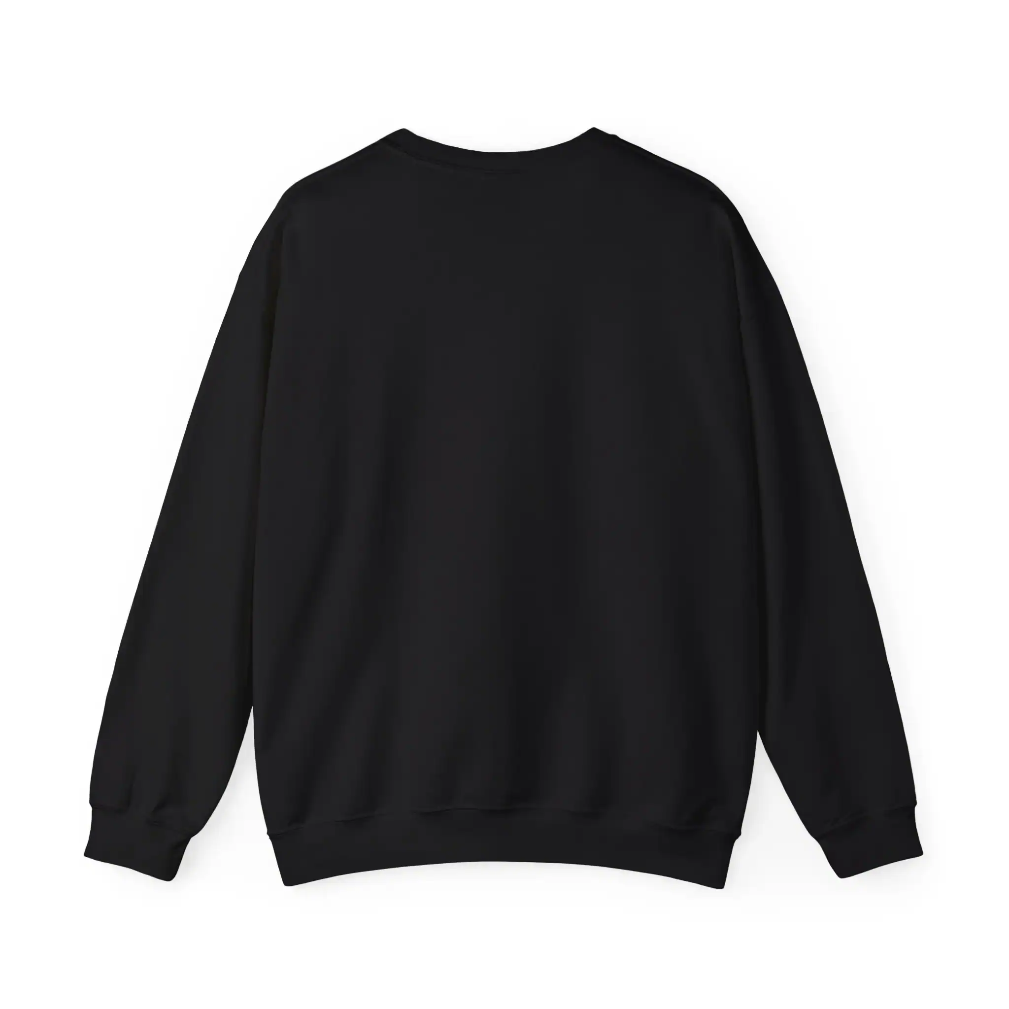 Comfortable black sweatshirt available at affordable prices, perfect for casual wear and promotional merchandise. High-quality fabric with a simple, sleek design suitable for various styles.