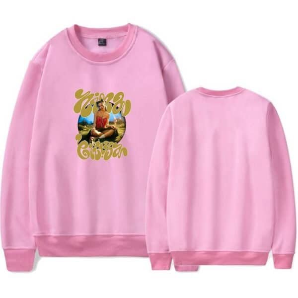 Y2k aesthetic sweatshirt with graphic design, soft pink color, casual streetwear style, high-quality print, affordable price, unisex fit, perfect for trendy fashion lovers.